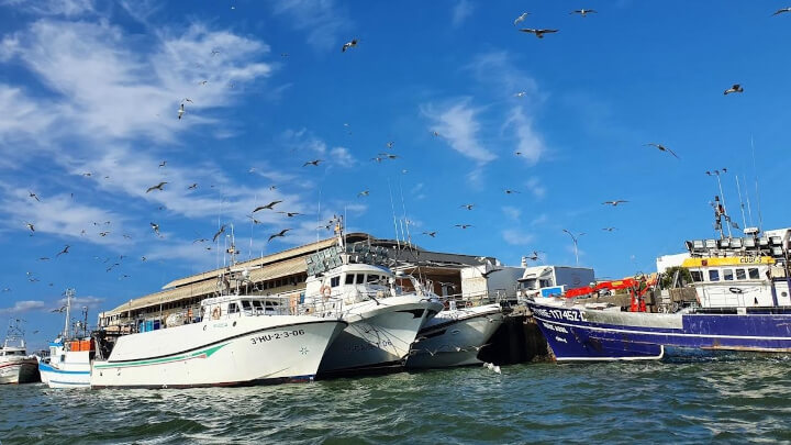 Paseo en barco por la Ría, Marismas y Puerto Pesquero de Isla Cristina